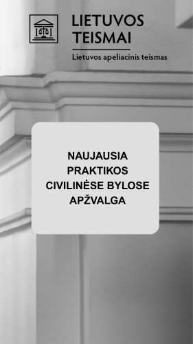 Lietuvos apeliacinio teismo 2026 m. liepos–rugpjūčio mėn. praktikos civilinėse bylose apžvalga